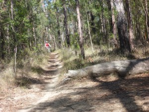 Small Woodford to Glenbrook bike track 05