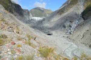 Fox Glacier